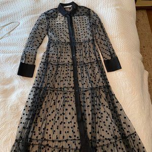Zara Polka Dot Tulle Collared A-line Dress XS